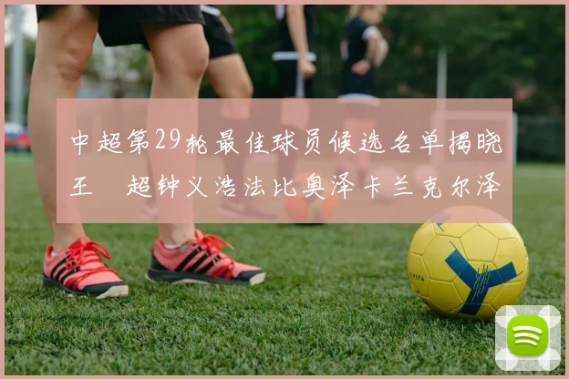 中超第29轮最佳球员候选名单揭晓王燊超钟义浩法比奥泽卡兰克尔泽齐聚争夺荣耀