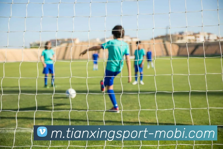 天行体育APP 体育赛事宣传图